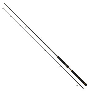 Daiwa New Bg Seabass 2.72m