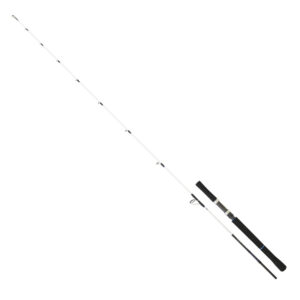 Daiwa Saltist Bay Jig 1.91m 60-150gr