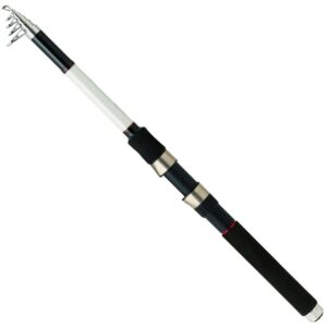 Daiwa Sweepfire 2.40m 10-40gr Teleskopik Spin Olta Kamışı